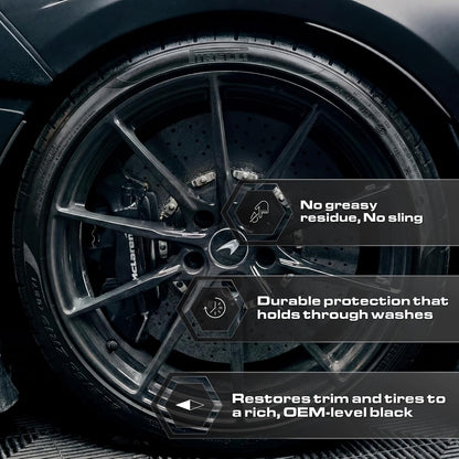 Blackout Sprayable Trim and Tire Dressing - Premium Satin Finish, No Sling, UV and Water Resistant - for Plastic, Rubber, Vinyl, and Tires - Safe for All Vehicles - 16 Fl Oz